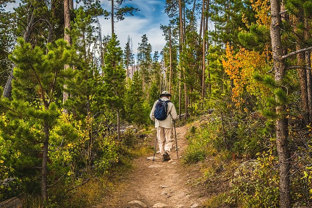 Kultur och Naturvandringar kring Tällberg