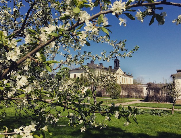 Boka Countryside Break på Gimo Herrgård