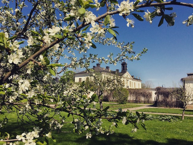 Boka Countryside Break på Gimo Herrgård