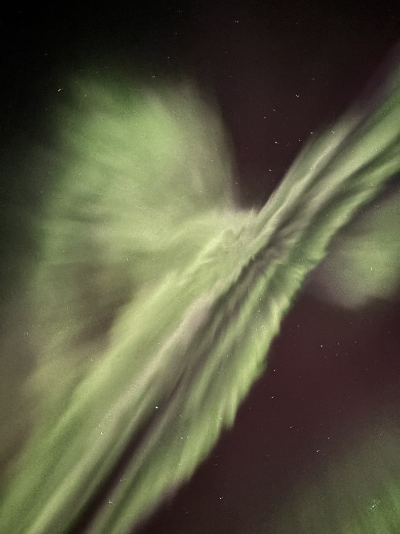 Lyngenfjord Hotel image 3