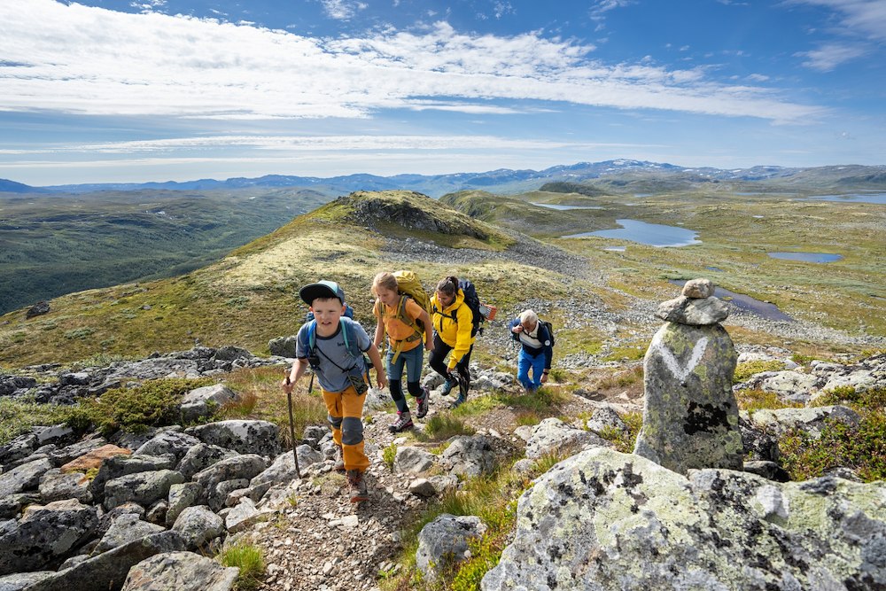 Høst på Filefjell 🍂