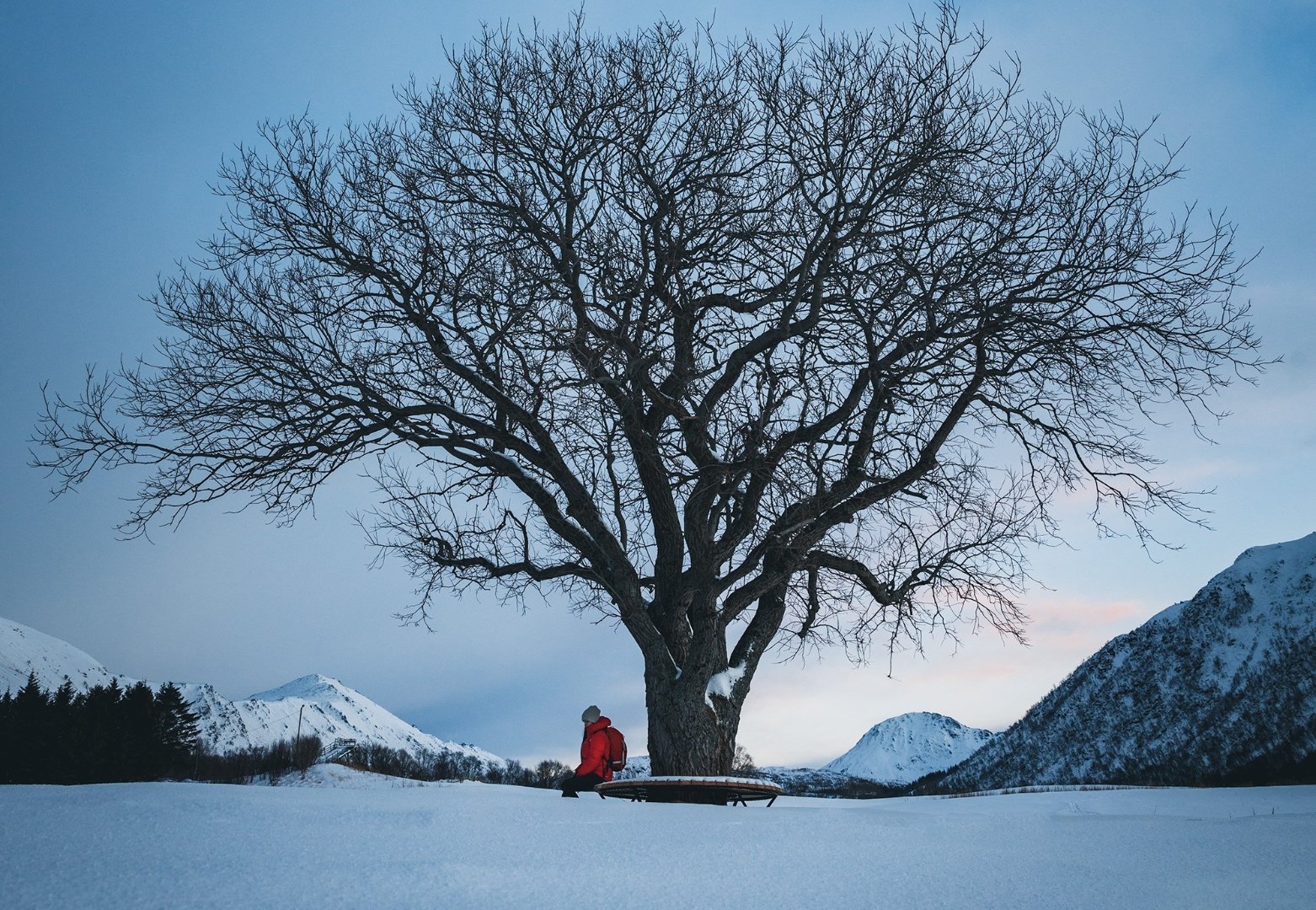 Vinter opplevelse