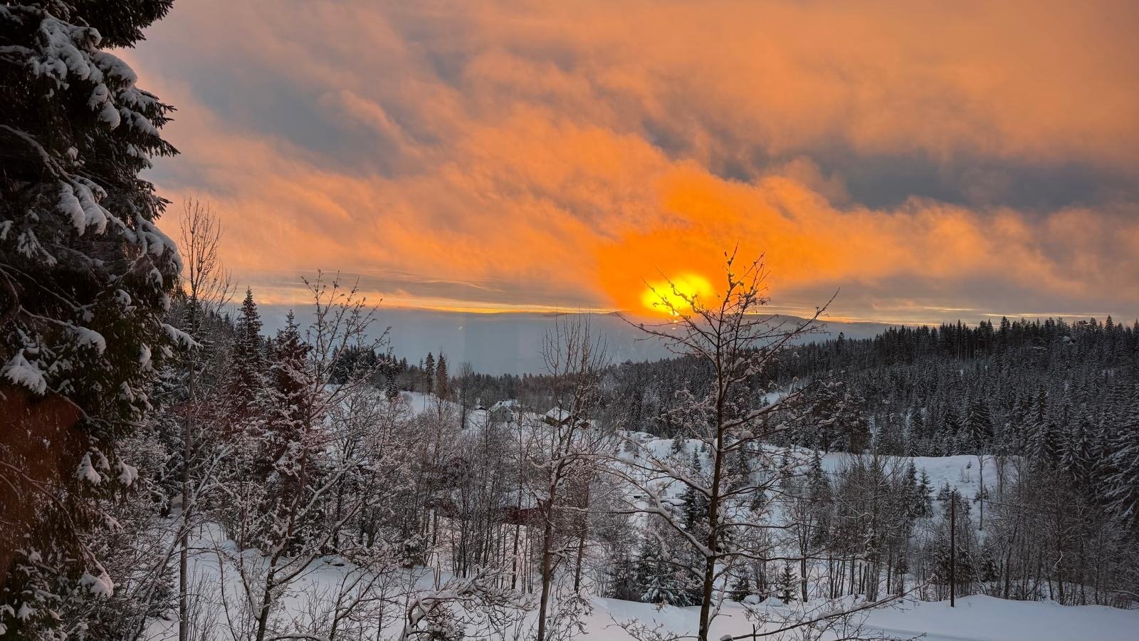 Romantisk tretopphytte med jacuzzi i Norge – unik opplevelse hos LAUV-image