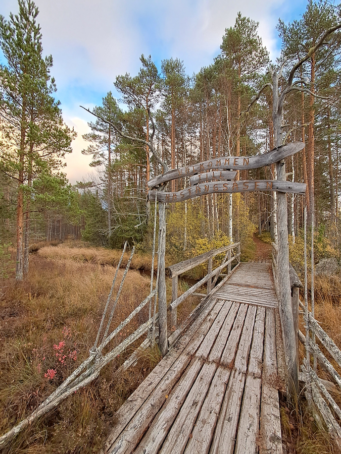 Vandra längs Hästängsleden