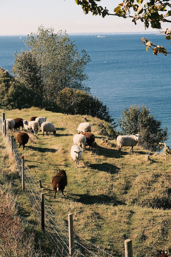 Hösthelg på Tunnby