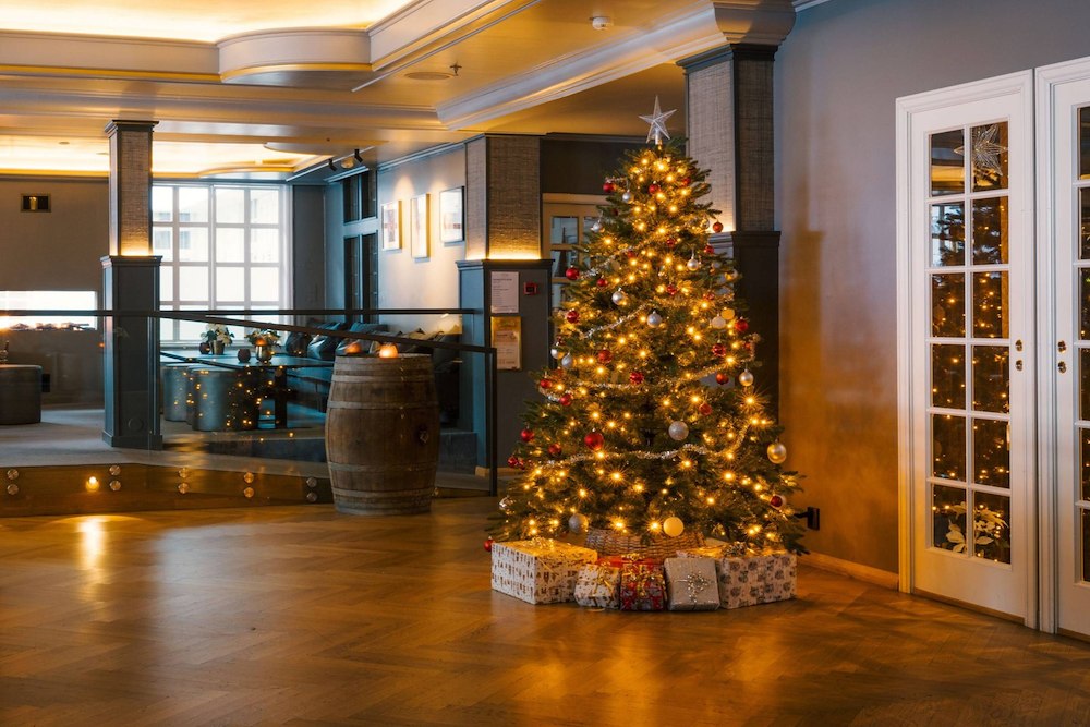 Jul på Dr. Holms Hotel