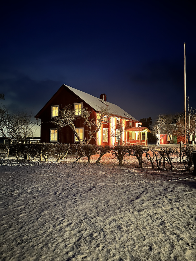Jullovsmys i Stora huset