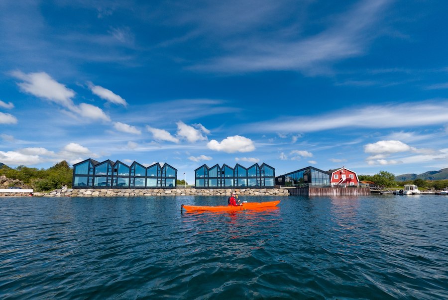 Guided kayaking trip