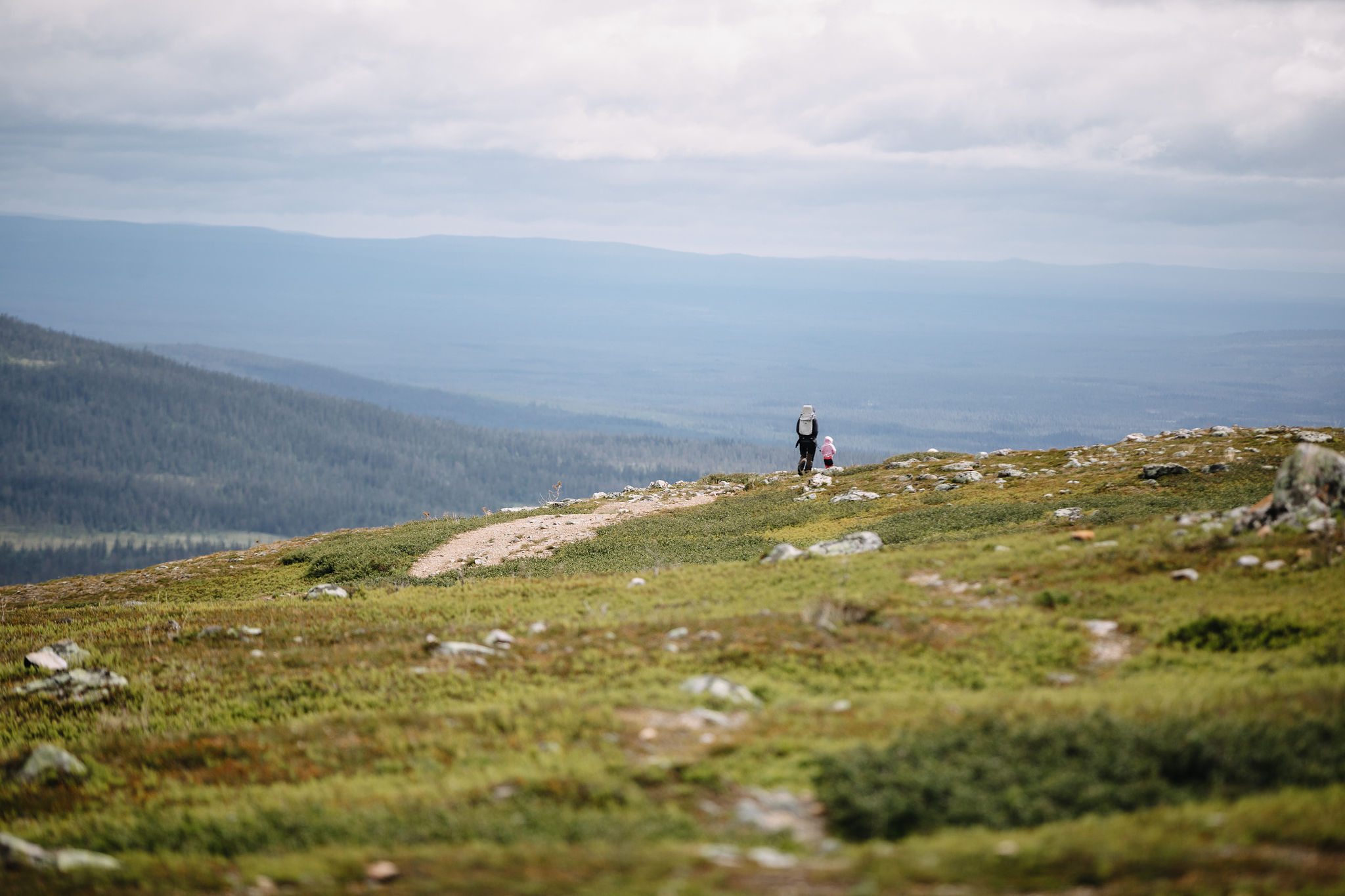 Hotell Fjällheim image 33