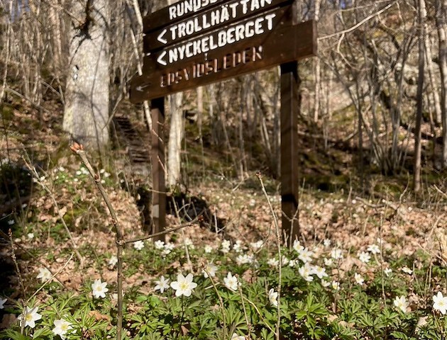 Boka Hikingpackage på Albert Hotell