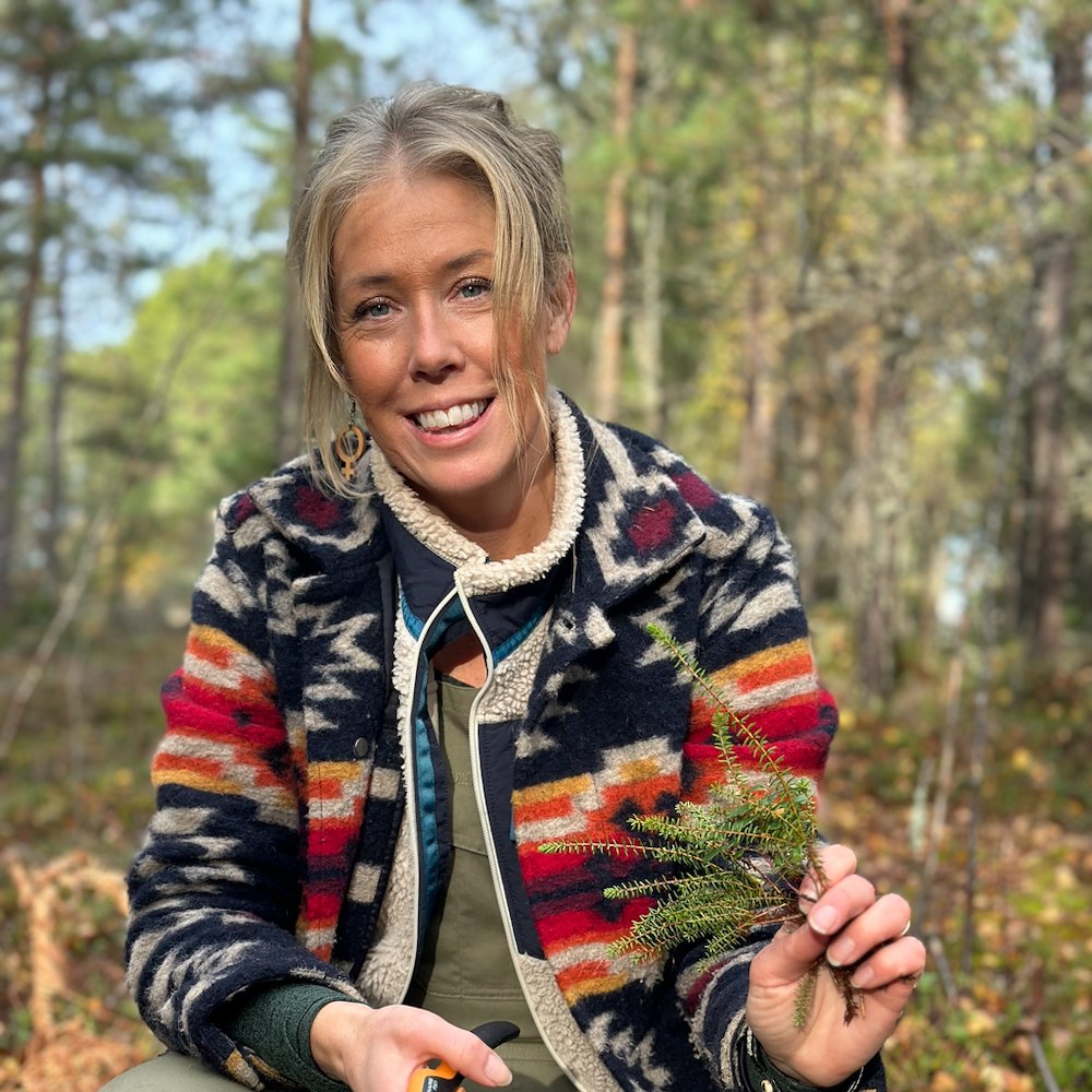 Image of Höstlovsaktivitet  – Pimpa din Pumpa 