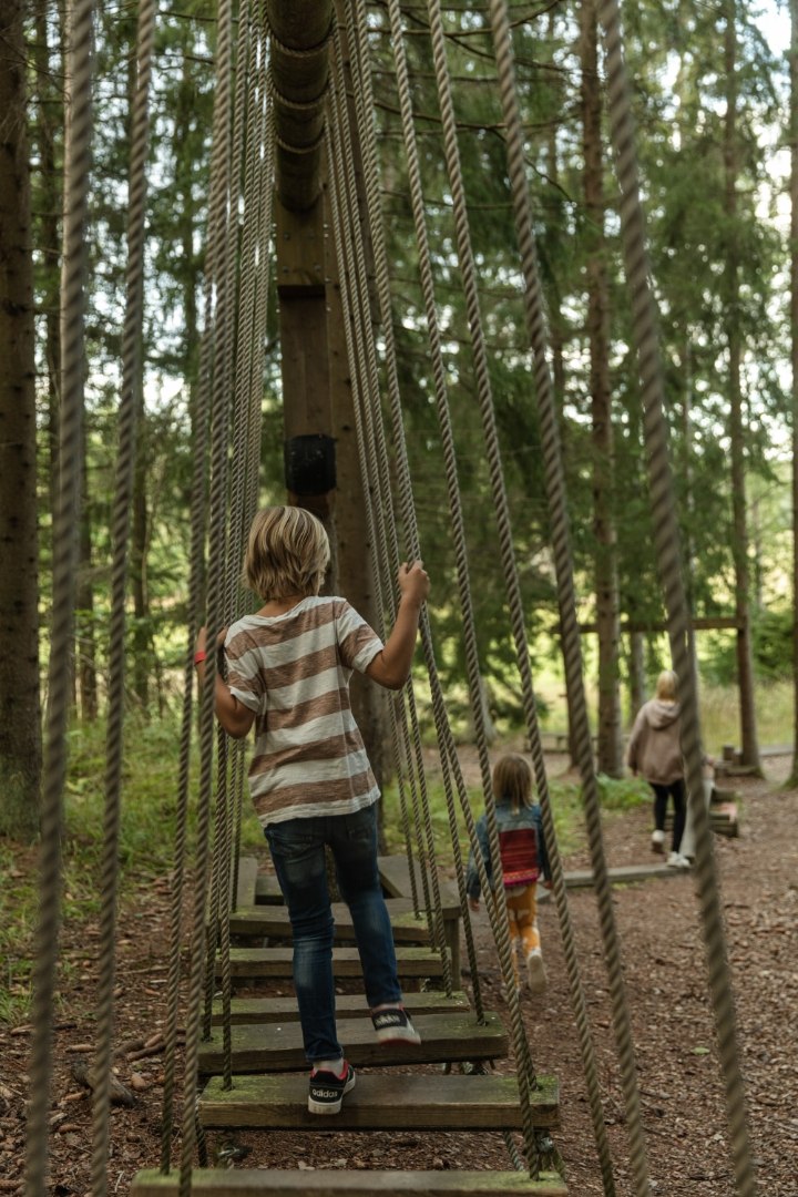 Image of Skogshinderbanan