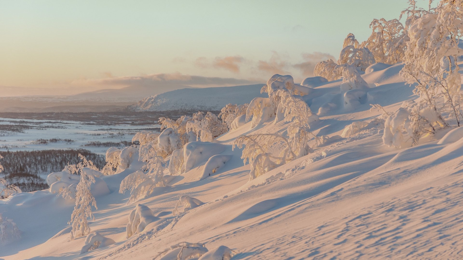 Saxnäsgården image 20