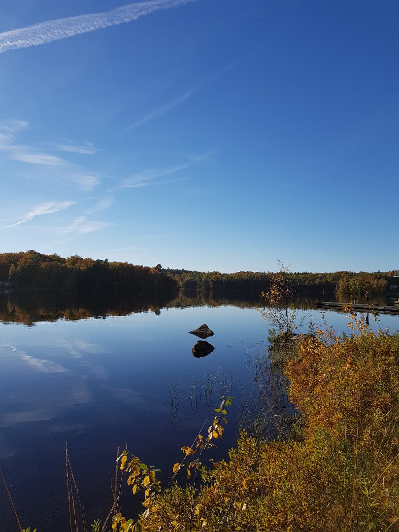 Halens Camping och stugby photo 4