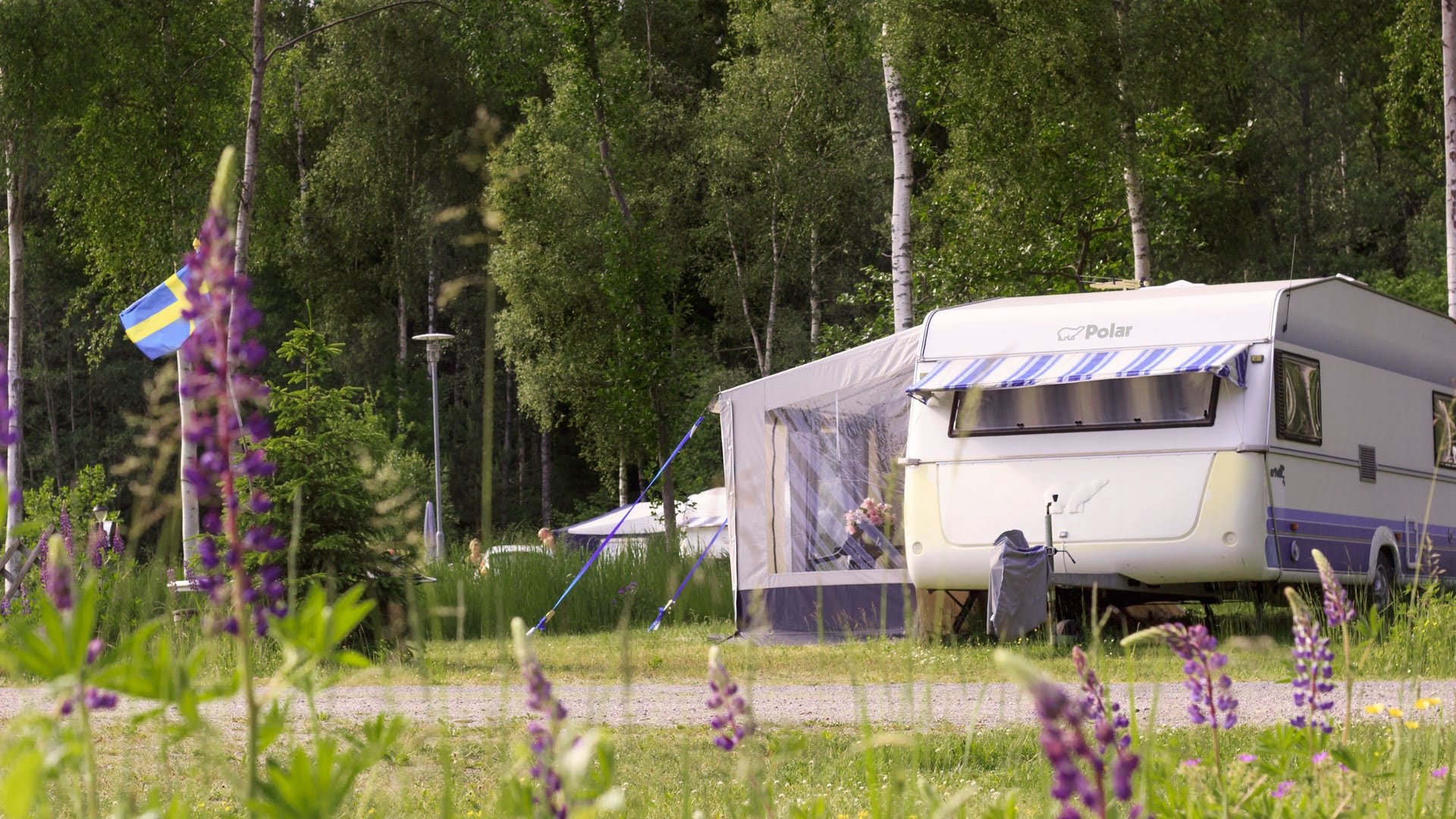 Camping Stellplatz Wohnwagen mit Strom (Nr. 2011)