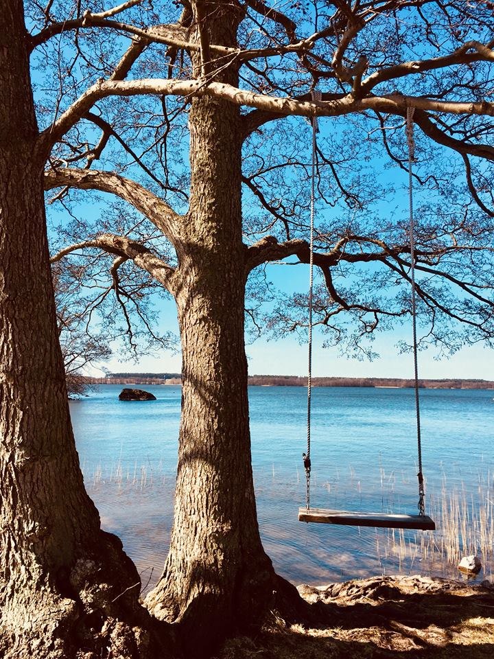 Bäckaskog Slott image 11