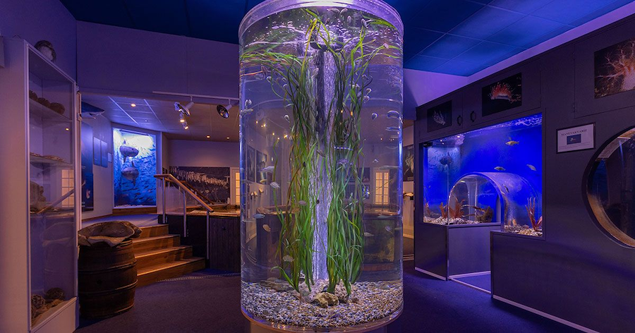 Dagspass Drøbak Akvarium