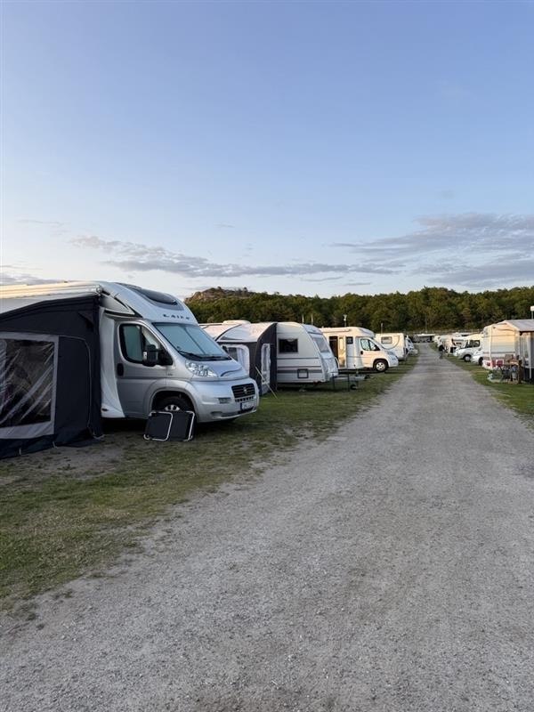 Camping plot including electricity - max 9 meters (Grass)