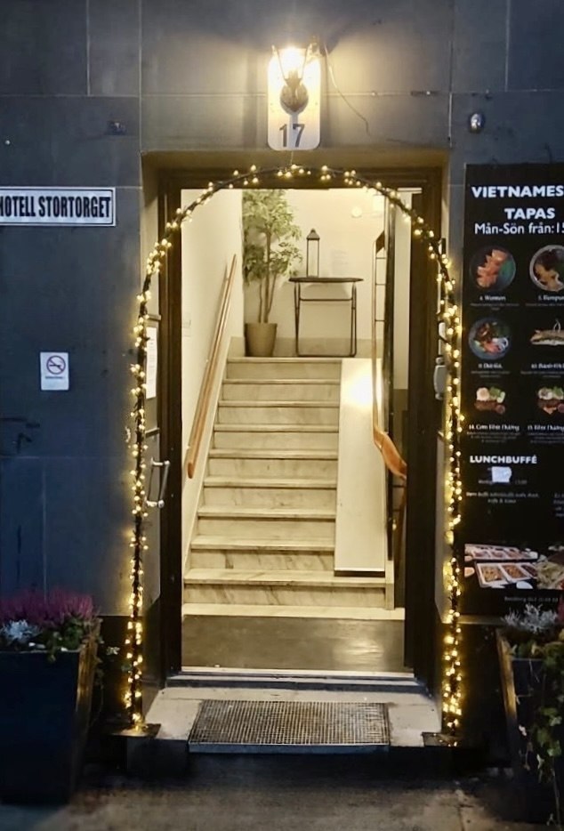 Mys i Vinterstaden-image