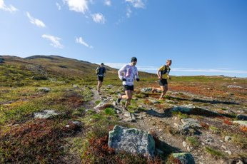 Ekstra bilde 14/21 av Team Lopning och Livet
