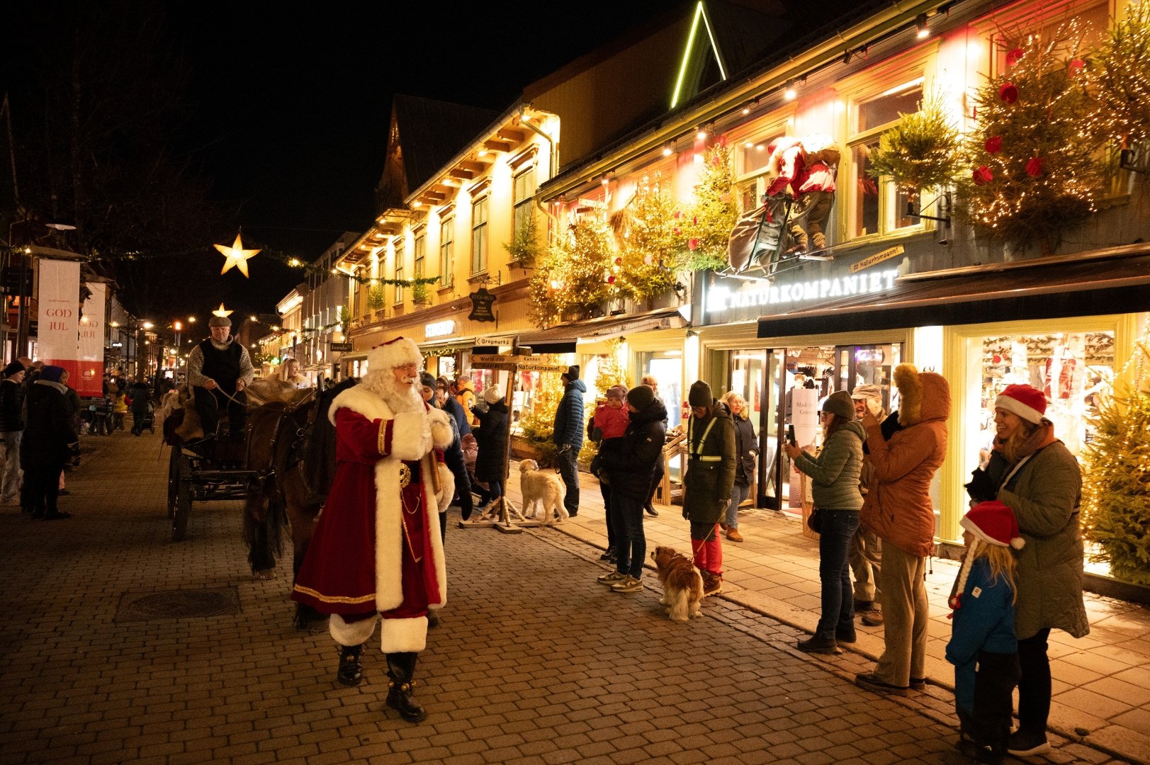 $apiData['content']['article']['title']