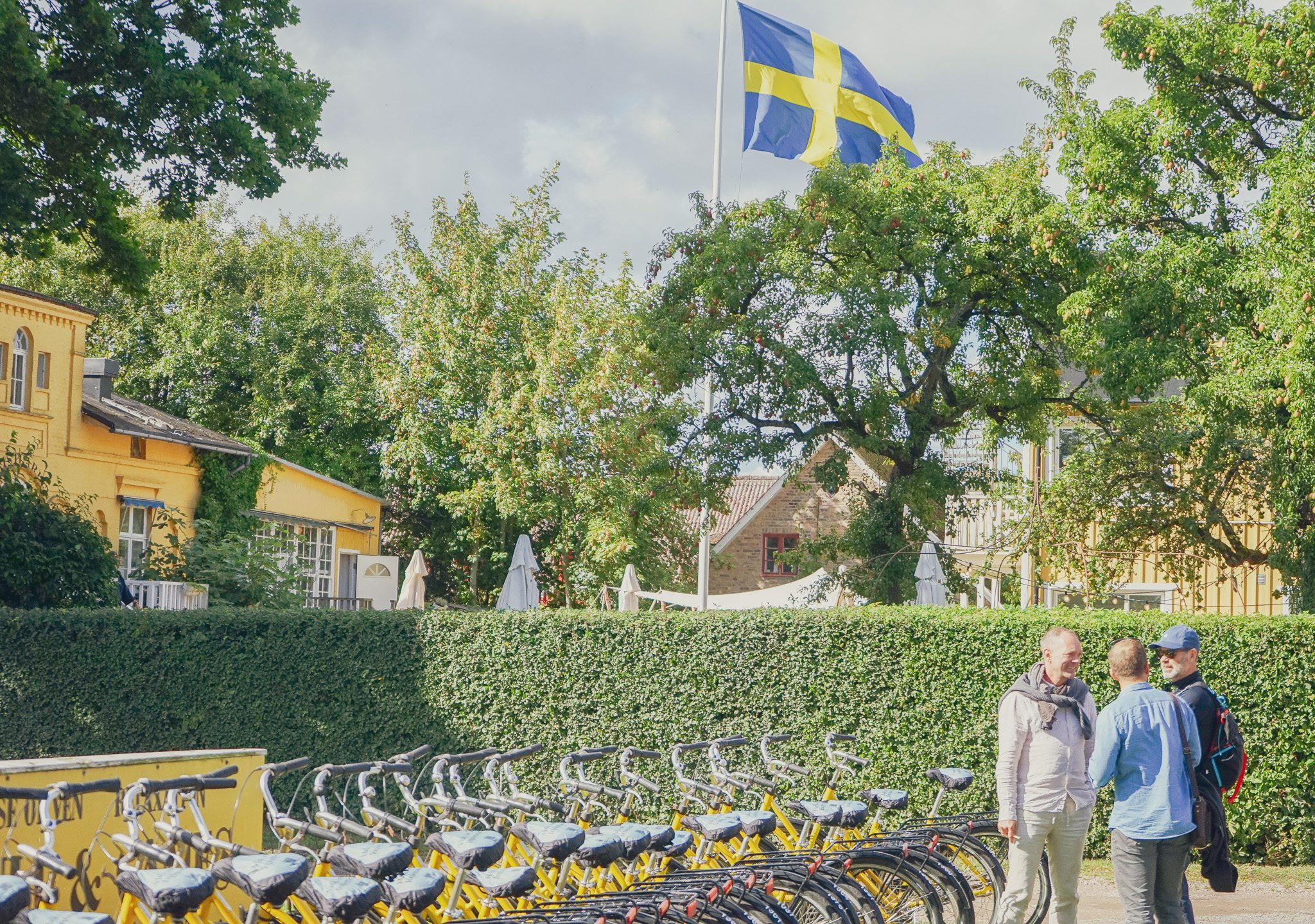 Voksen­cykel - AFHENTNING PÅ Vens Cykeludlejning