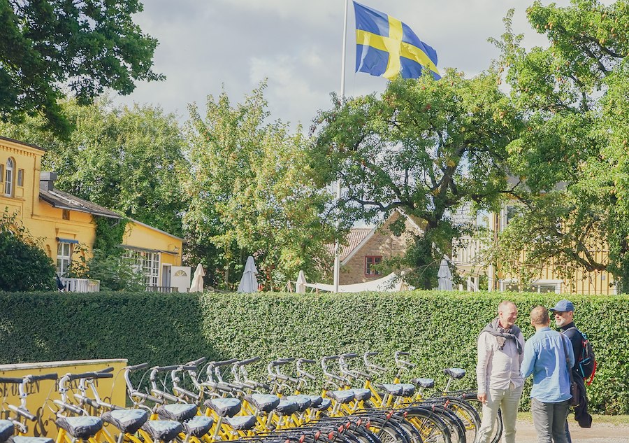 Adult bike -  PICK-UP AT VENS BIKE RENTAL