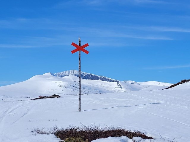 Bo söndag - torsdag