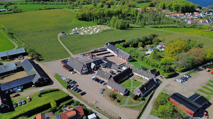 Den stora vingårdsvisningen 