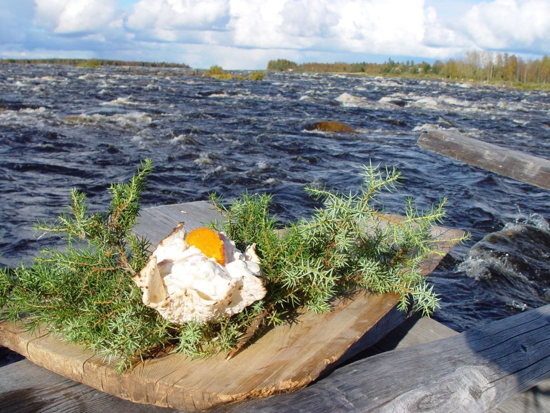 Image of Dinner on the river 