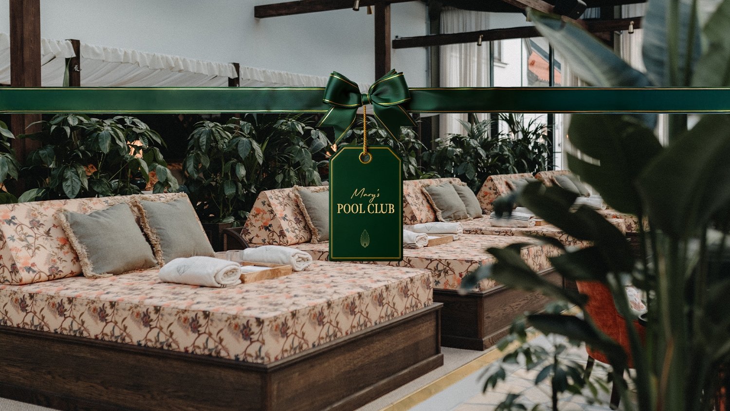 Image of JULKLAPPEN - Mary's Daypass