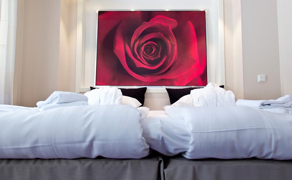 Treetop Spa, Hangout & Hotel image 10