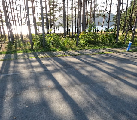 Camping 51