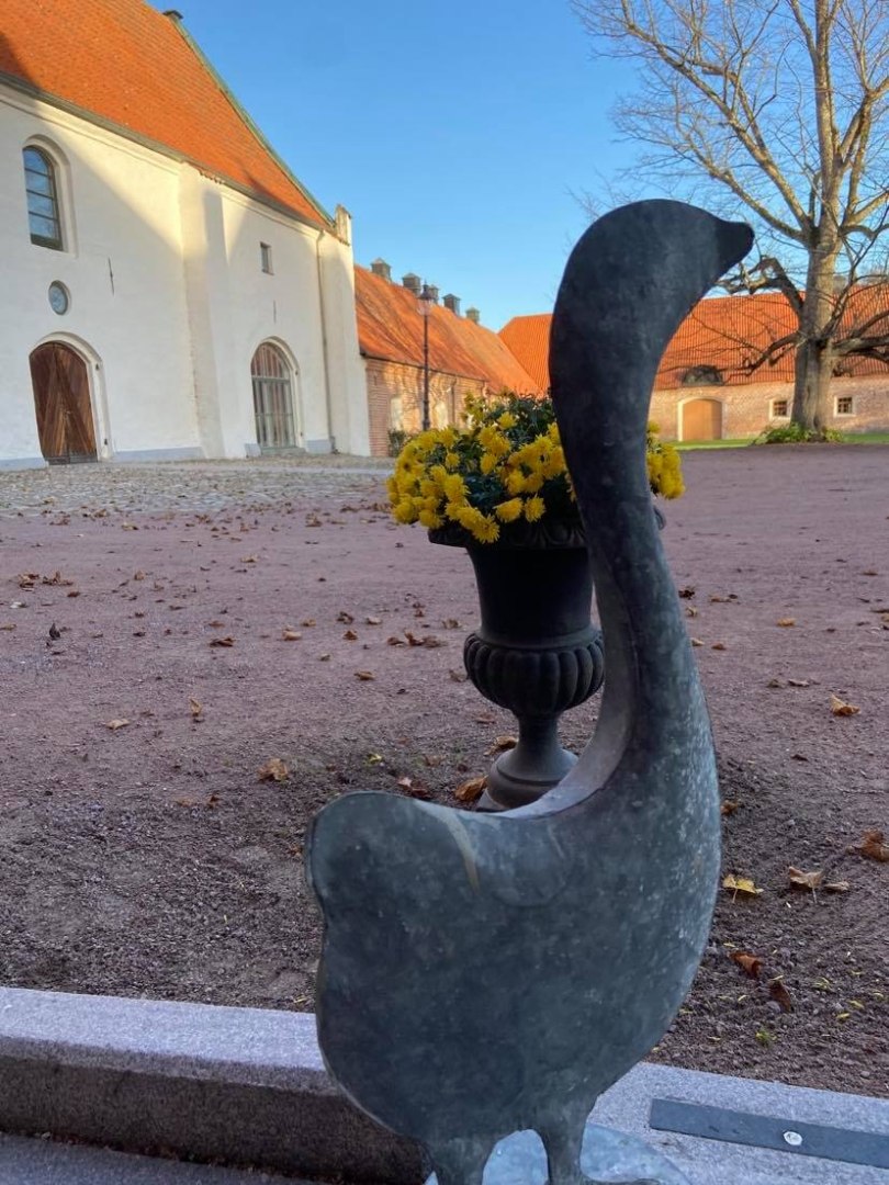Gåsmiddag image 2