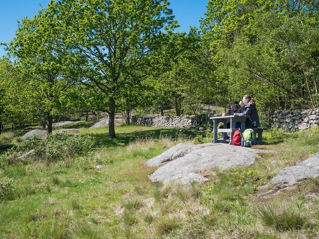 Hiking package at Tofta Manor / Tofta Herrgård