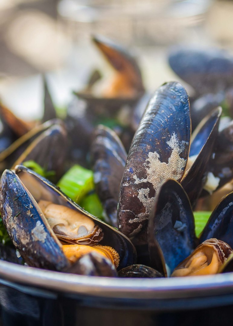 Image of Shellfish evening