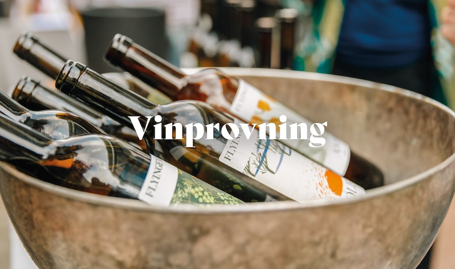 Vinprovning