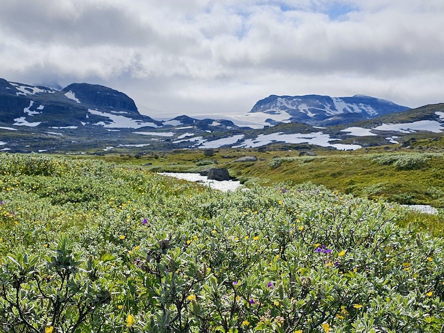 Hardangerjøkulen rundt