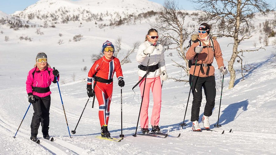 Vårtilbud
