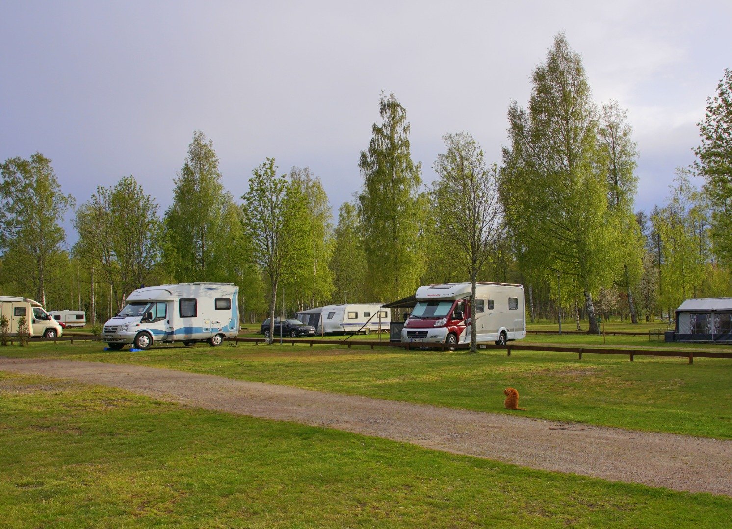 Otterbergets Bad & Camping photo 3