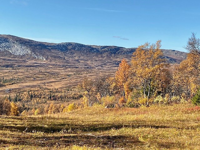 Må-bra-helg