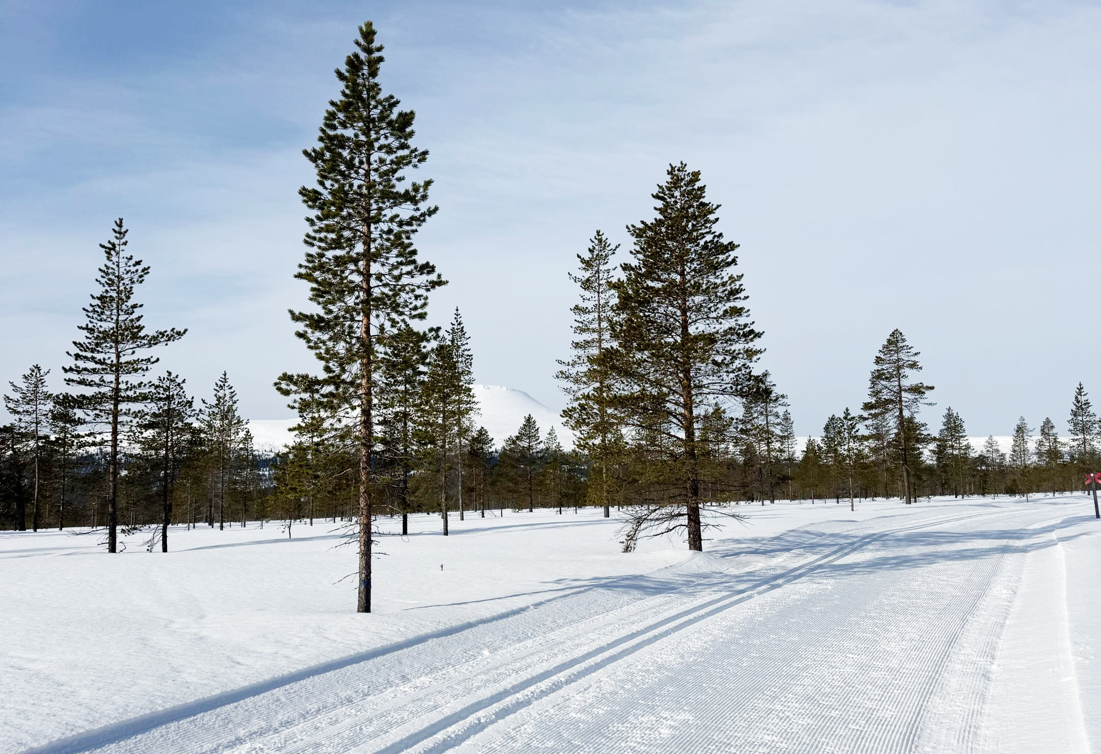 Längdskidåkning-image