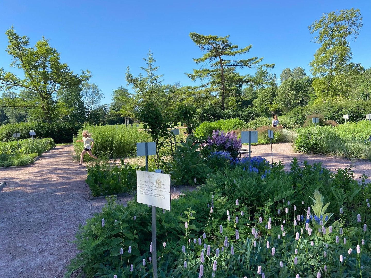 Bäckaskog Slott image 2