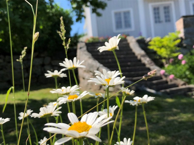 Sommarpaket på Tofta