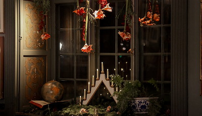 Boka The Great Christmas
