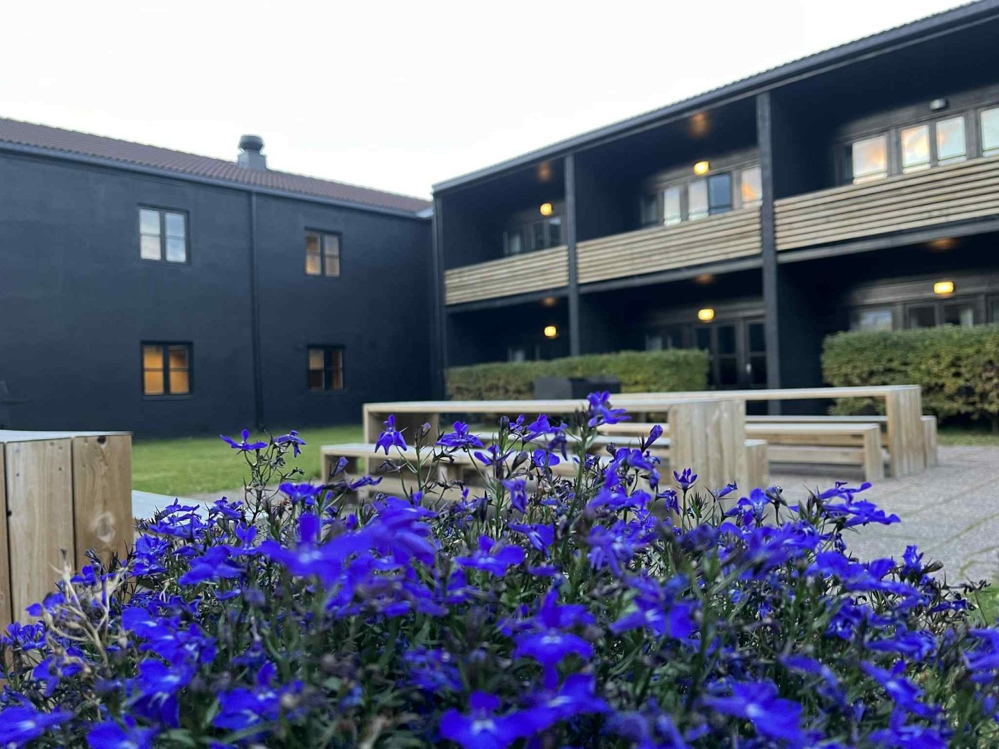 $apiData['content']['article']['title']