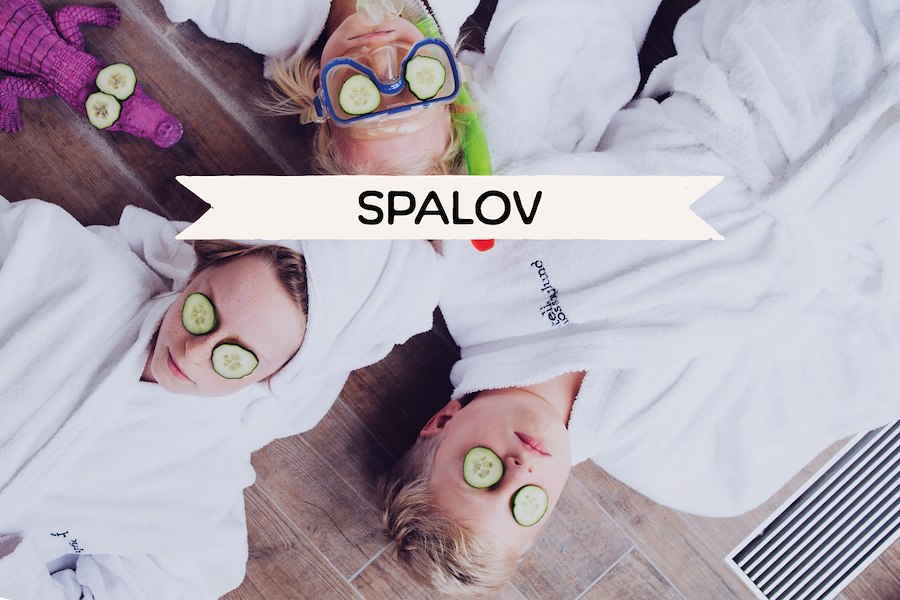 SPALOV