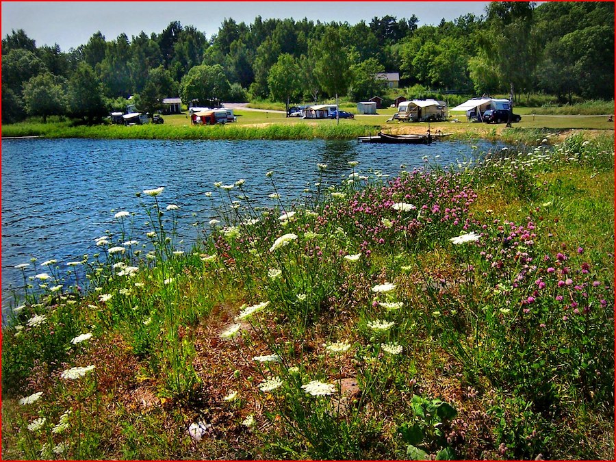Camping pitch with electricity & seaview
