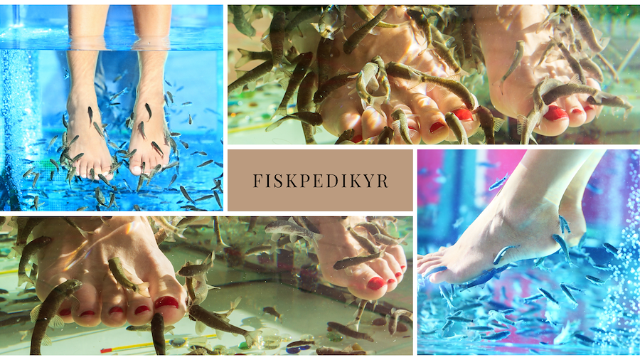 Fiskpedikyr