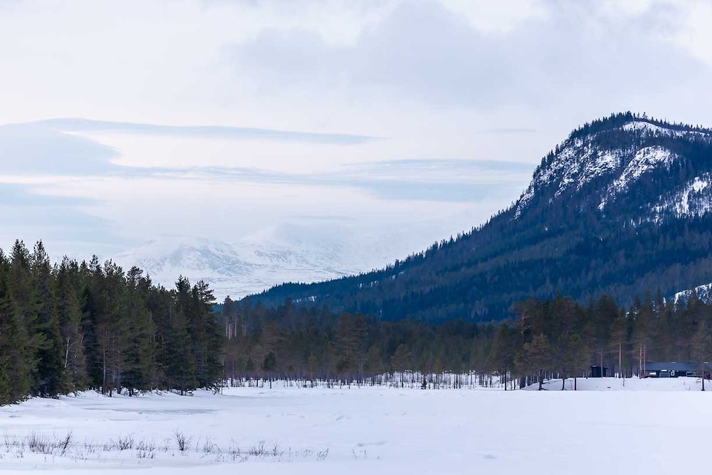 Ekstra bilde 31/35 av ElveRo Lodge *****